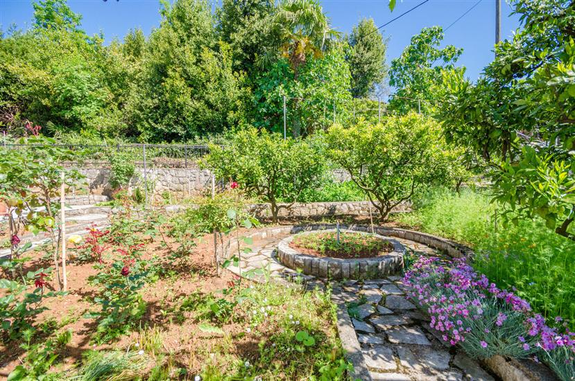 Apartments Mladen Jelica