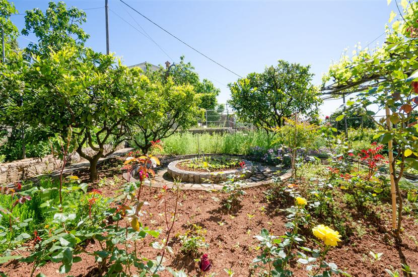 Apartments Mladen Jelica