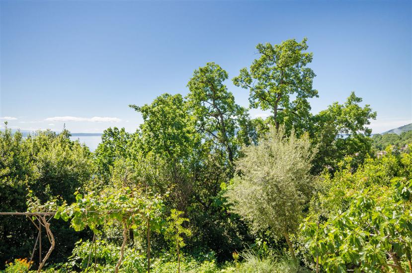 Apartment A2, for 2 persons