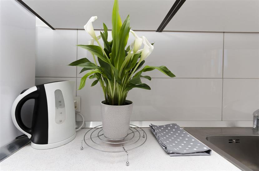 Apartman A1, na 9 osebe