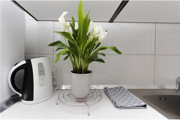 Apartman A1, na 9 osebe