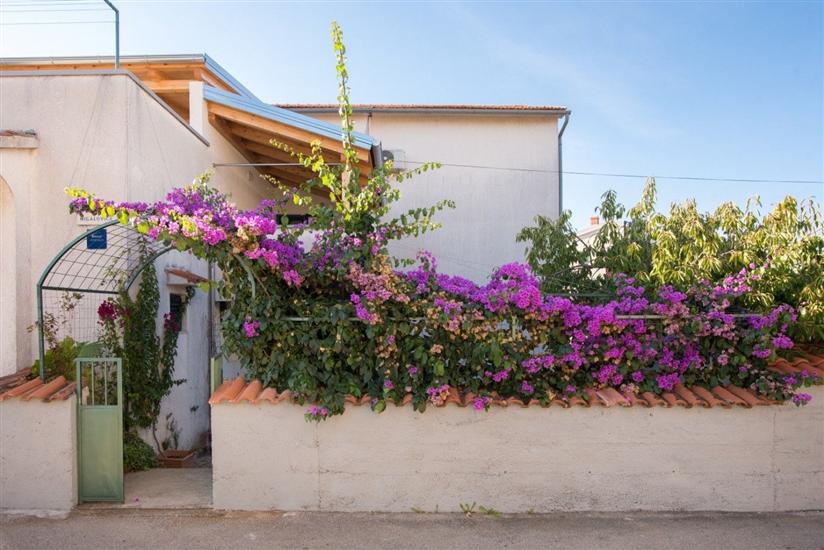 Lägenheter Anita summer