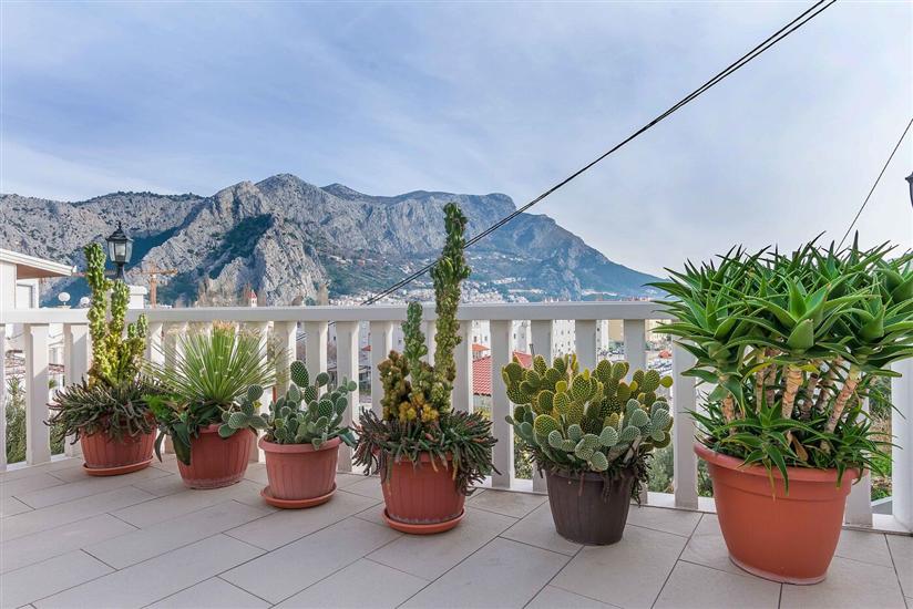 Apartment Josip