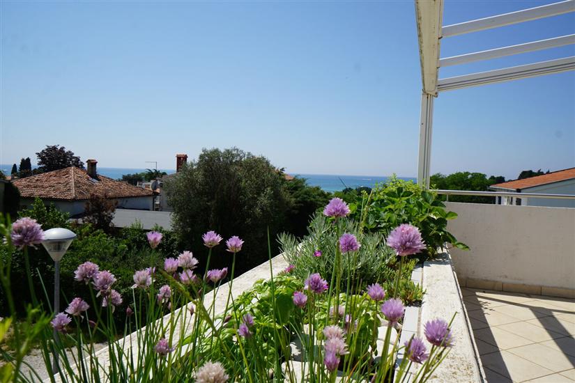 Апартамент CARLI