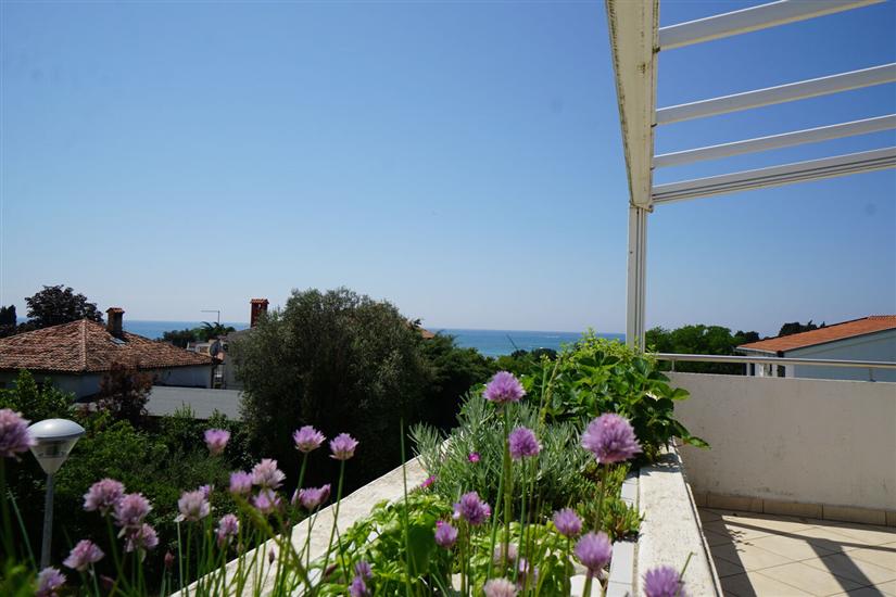 Апартамент CARLI