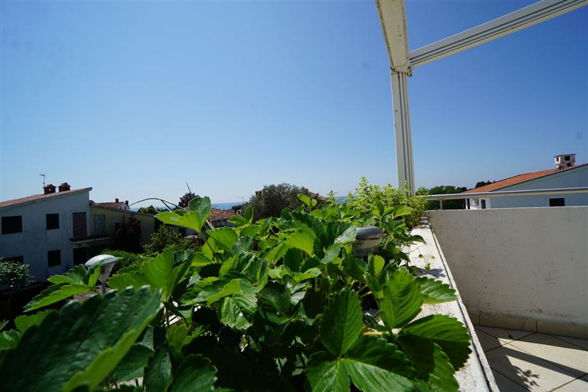 Апартамент CARLI