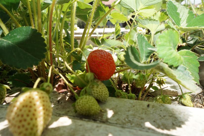 Апартамент CARLI