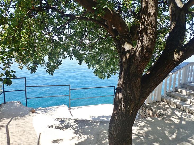 Apartments LILLY BY THE SEA