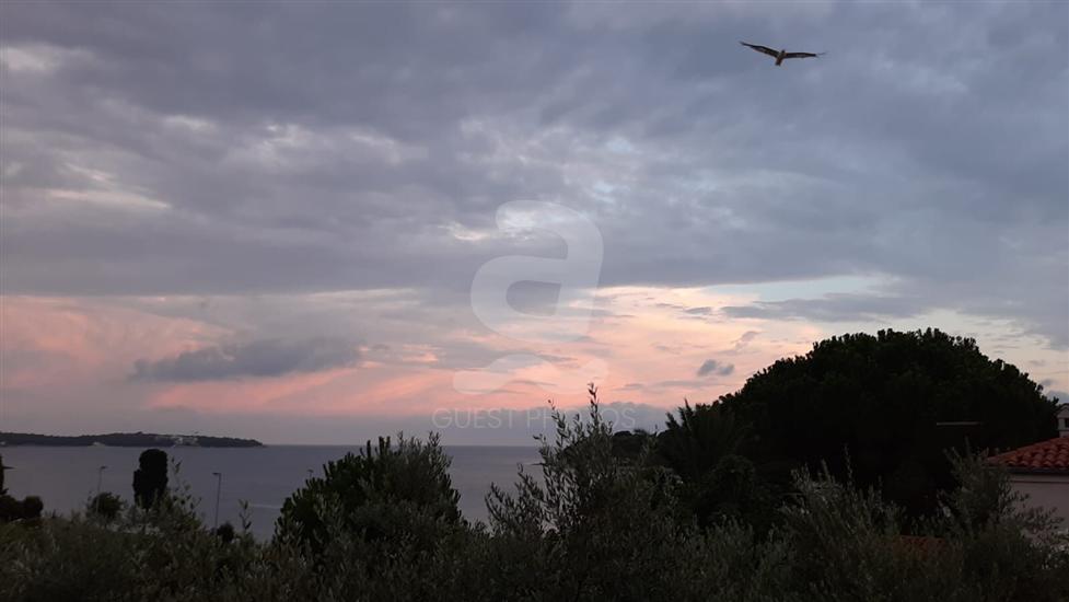 Apartments Petra near beach