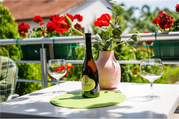 Apartment A1, for 2 persons