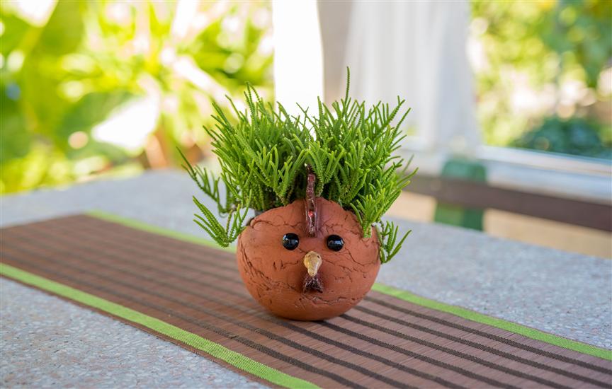 Room S2, for 2 persons