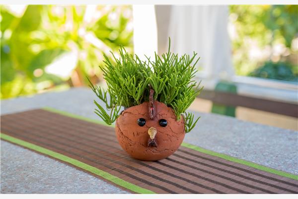 Room S2, for 2 persons