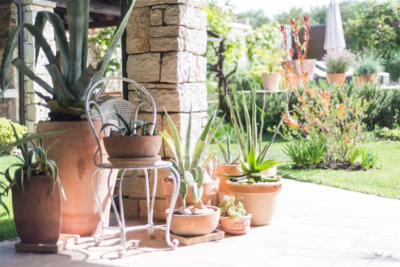 Apartments Villa Renata