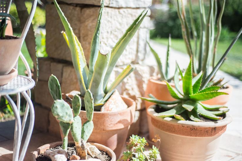 Apartments Villa Renata