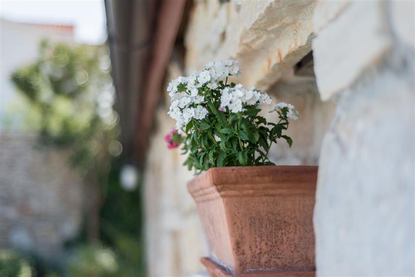 Apartments Villa Renata