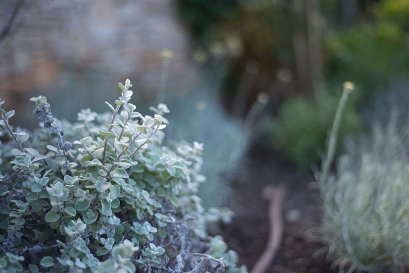 Apartments Villa Renata