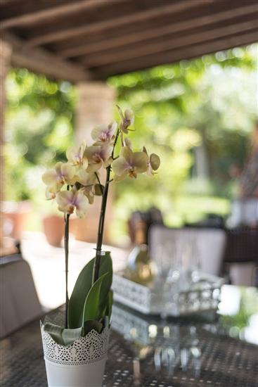 Apartment A1, for 8 persons