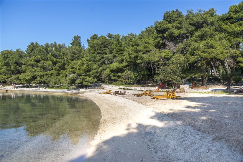 Apartments Vila Jelka