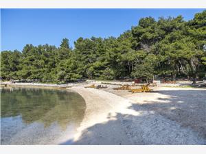 Apartment Middle Dalmatian islands,BookJelkaFrom 214 €