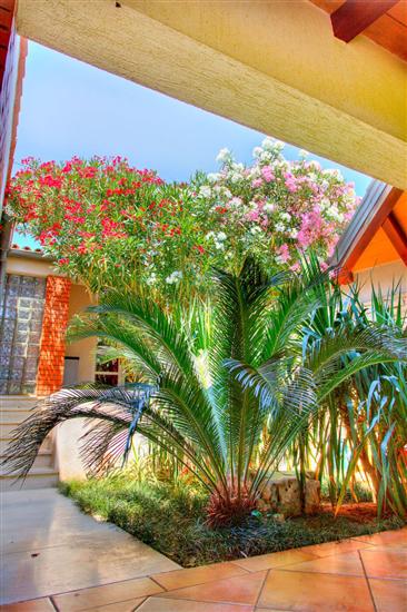 Apartments Petra near beach