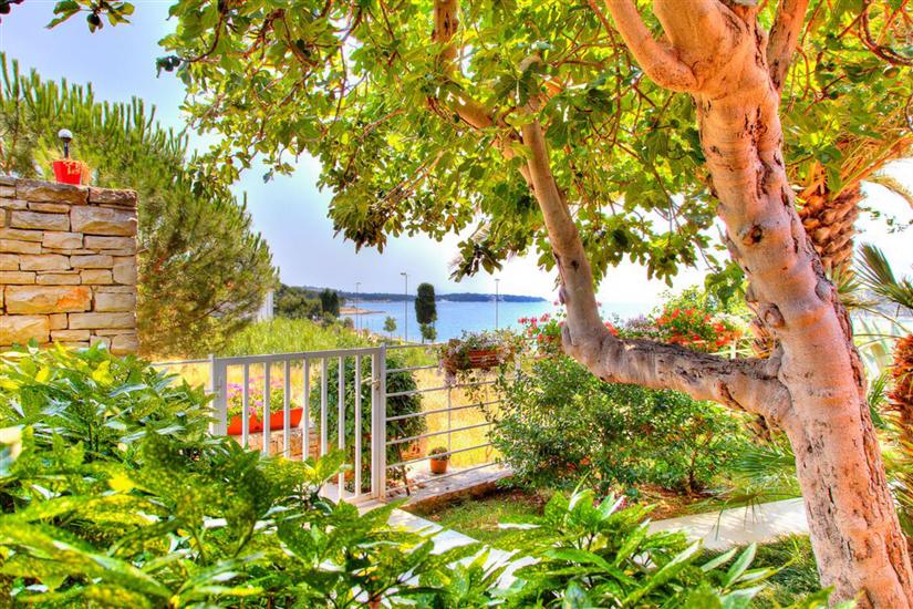 Apartments Petra near beach