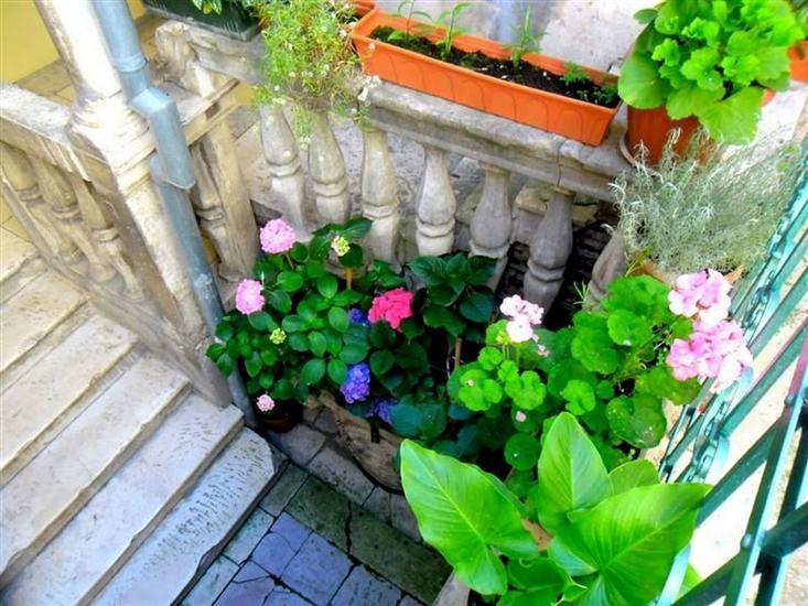 Apartment Nikolina Old town