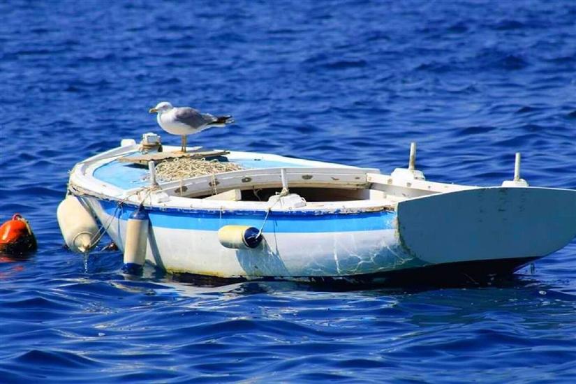 Apartments Danolic 2