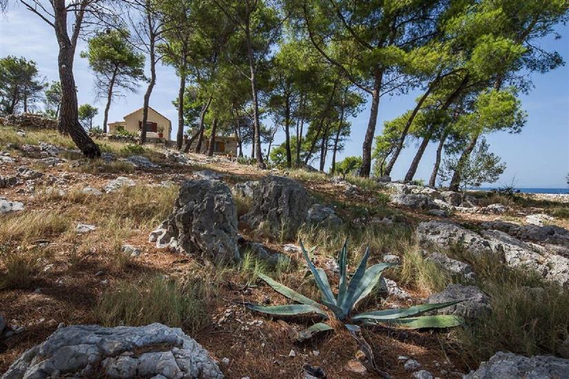 House Vesna Kupinova