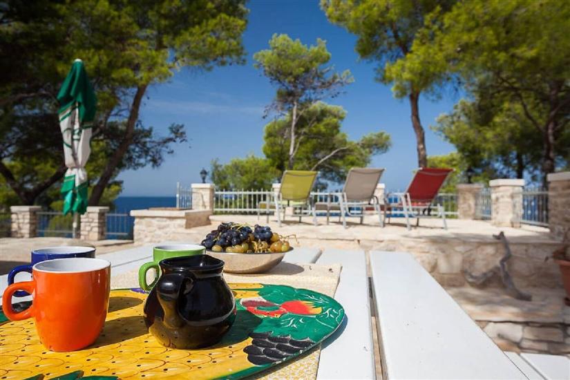 House Vesna Kupinova