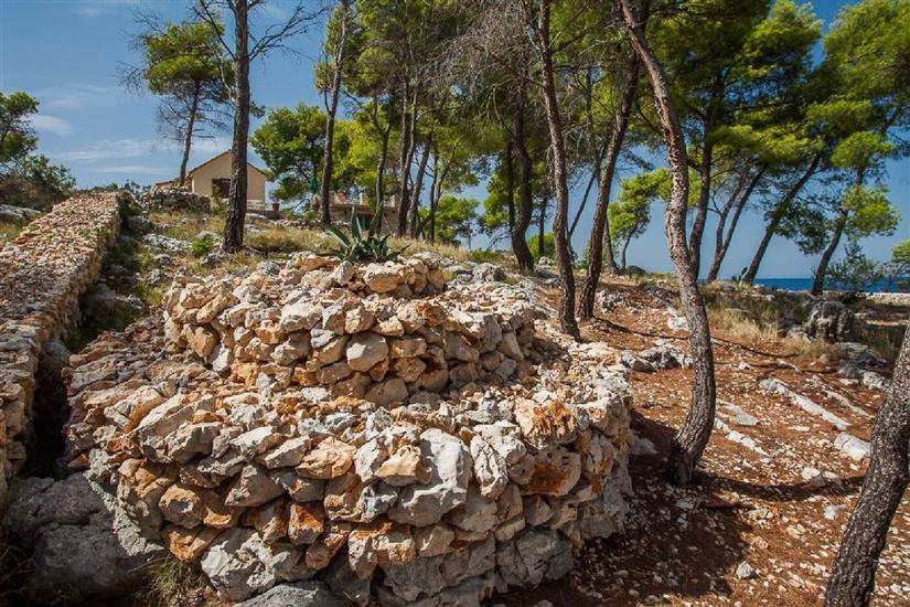 House Vesna Kupinova