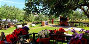 Apartment - Privlaka (Zadar)
