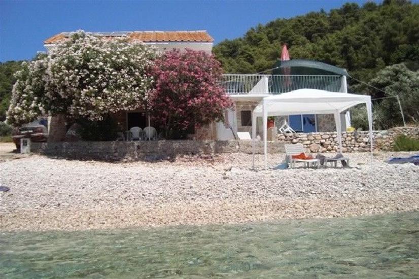 Apartments Robinzon Petar