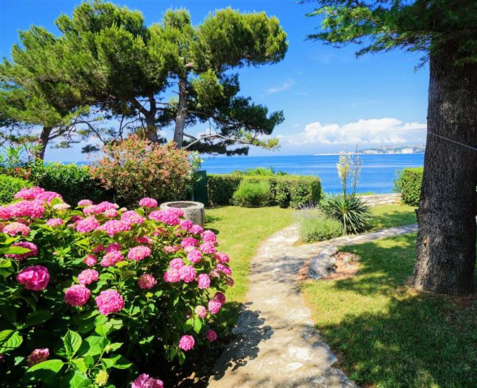 Apartments Villa Ana Monterosso