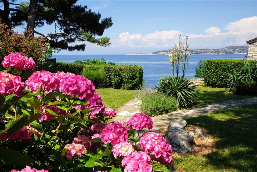 Apartments Villa Ana Monterosso