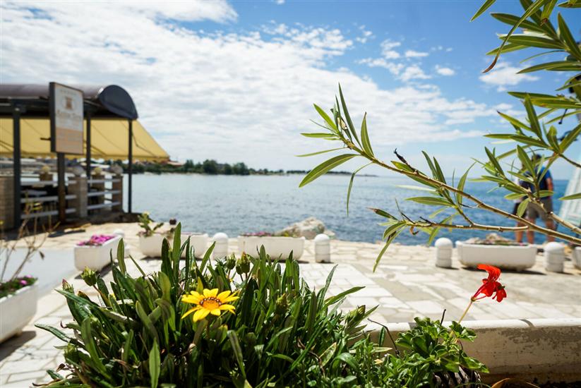 Apartment A2, for 3 persons