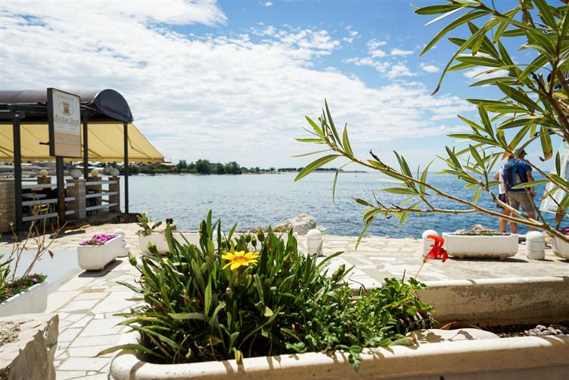 Apartments SEA VIEW Umag