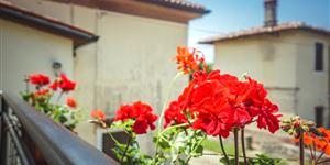 Appartement - Zambratija (Savudrija)