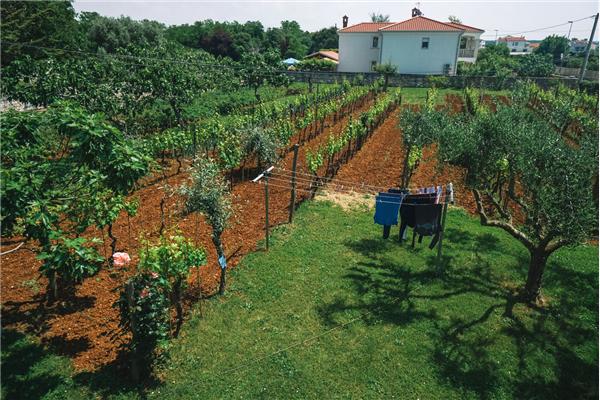 Ferienwohnung A1, für 3 Personen