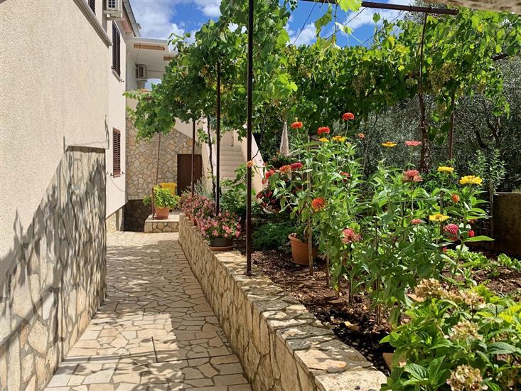 Apartment Nevenka P.