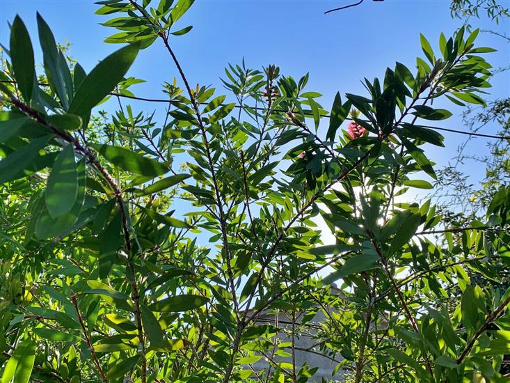 Ferienwohnung Gordana