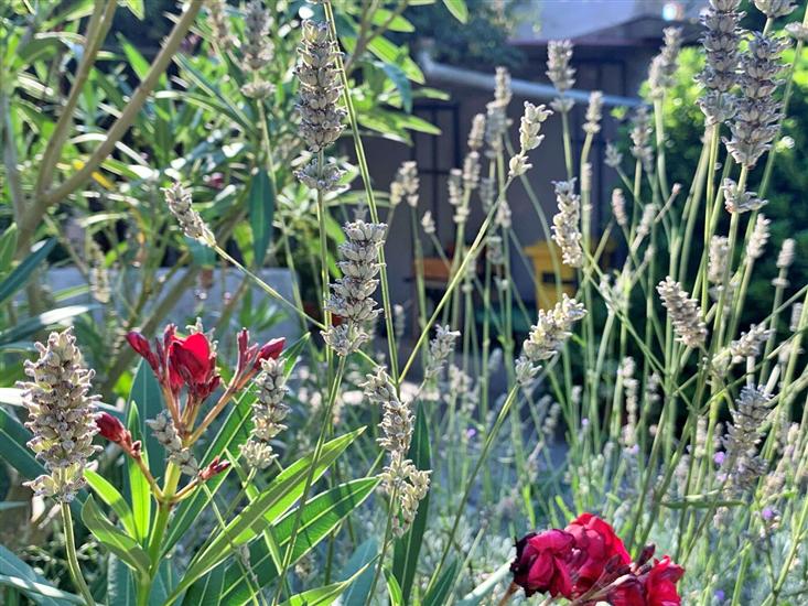 Ferienwohnung Gordana