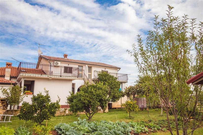 Apartments and Room LUCIANA Savudrija