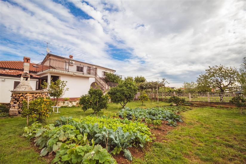 Apartments and Room LUCIANA Savudrija