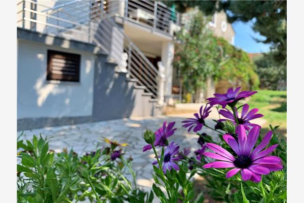 Apartment A1, for 7 persons