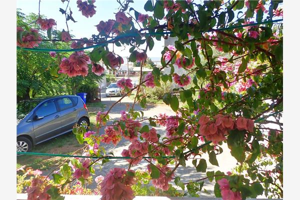 Apartment A1, for 3 persons