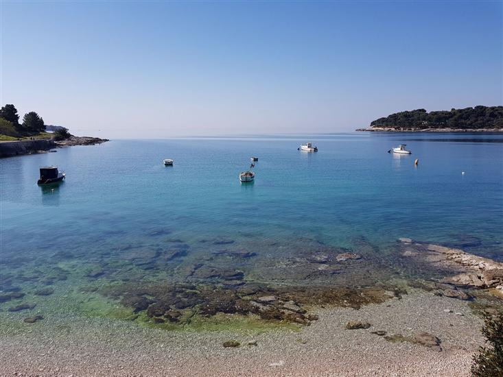 Apartments Petra near beach