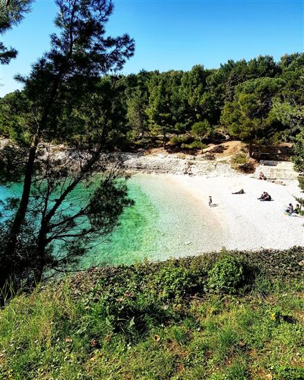 Apartments Petra near beach