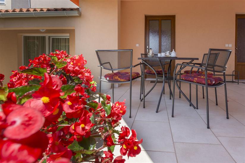 Apartments Petra near beach