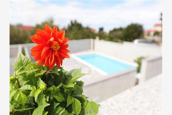 Апартаменты A1, для 4 лиц