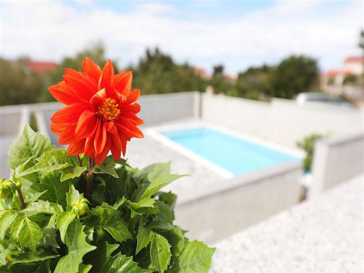 Апартаменты A3, для 4 лиц